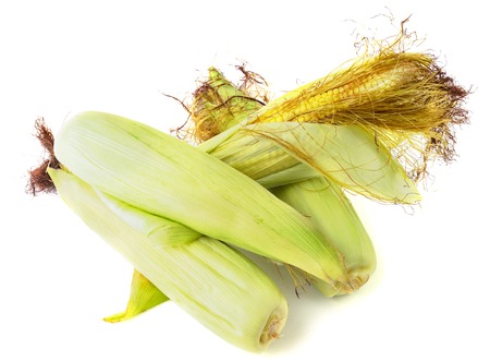 Three corn on a white background closeupの写真素材