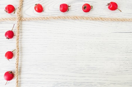 Organic Fruits over wood background. Autumn harvestの写真素材