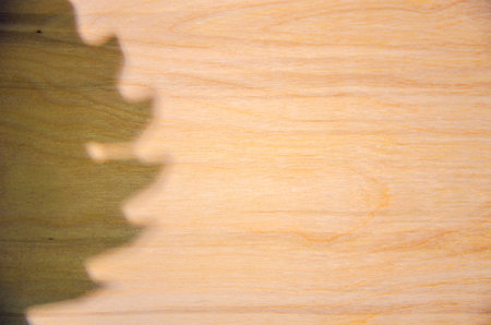 Background of birch boards