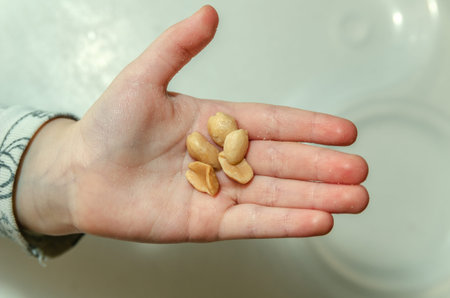 Childrens palm, a child holds peanuts in his hand