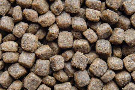 Granular dry food for dogs and cats macro photography,の写真素材