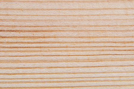 Background from pine wood, photograph close-up.の写真素材