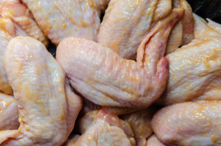 Three fresh chicken legs isolated on white backgroundの写真素材