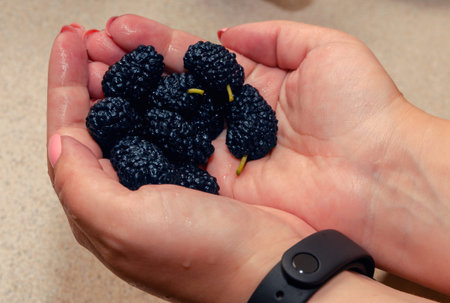 A girl holds mulberries in her palms.