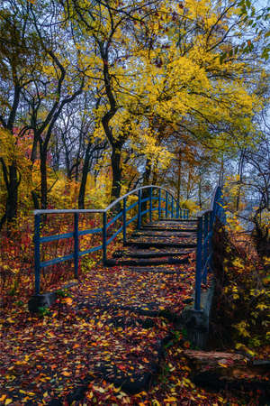Old abandoned bridge in autumn city park.の写真素材