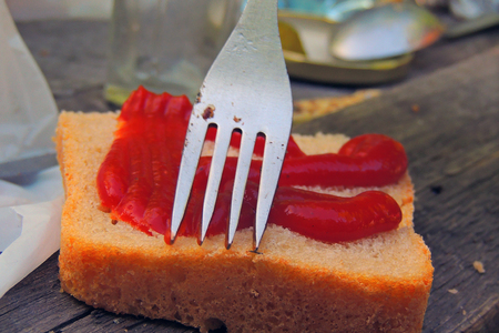 Slice of dark bread with ketchup isolated on white backgroundの写真素材
