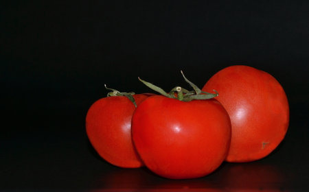 Red tomatoes on a dark background. Space for your textの写真素材