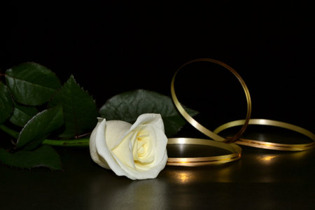 White rose and golden ribbon on black background.の写真素材