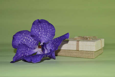 single bud of blue orchid and gift box present on a green backgroundの写真素材
