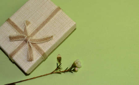 Pretty gift box and branch of tree with spring flower on a green background. Top view. Space for textの写真素材