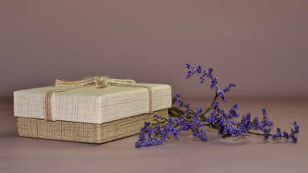 The studio photo branch of beautiful purple spring flowers and gift box for mother's and woman's day. Space for textの写真素材