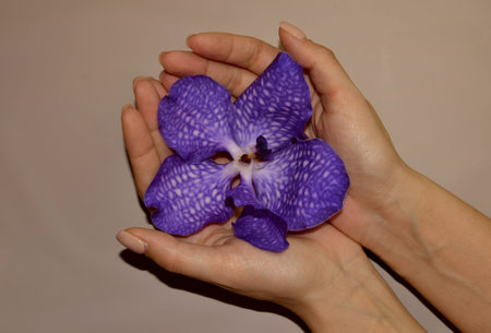 woman's hands holding blue orchid flower. Conceptual photo of female beauty