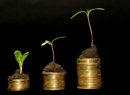 Business investment growth concept. tree piles of coins with small trees on black backgroundの写真素材