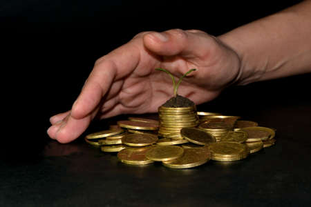 business investment growth concept. pile of coins with small tree and human hand. Black backgroundの写真素材