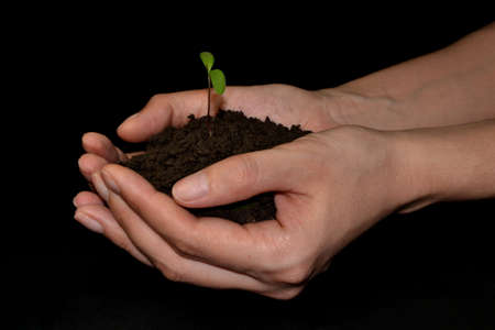 hand holding small tree for planting. concept of green world earth day. Black backgroundの写真素材