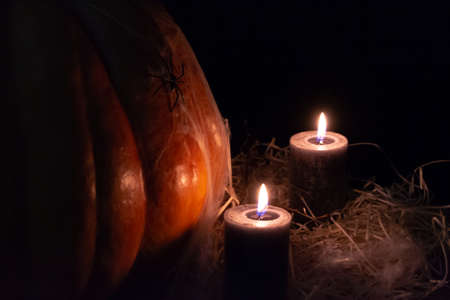 The studio photo of burning candles. Pumpkin with spider and cobwebs on a black background. Halloween conceptual photo. Space for your textの写真素材