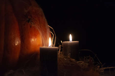 The studio photo of burning candles. Pumpkin with spider and cobwebs on a black background. Halloween conceptual photo. Space for your textの写真素材
