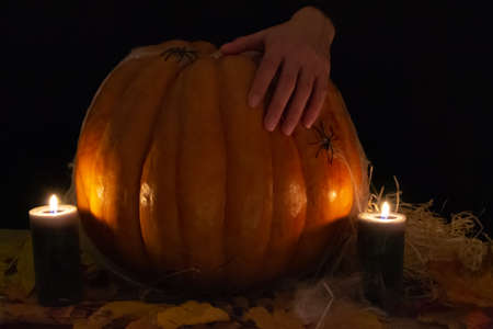 The studio photo of burning candles. Human hand on Pumpkin with spider and cobwebs on a black background. Halloween conceptual photo. Space for your textの写真素材