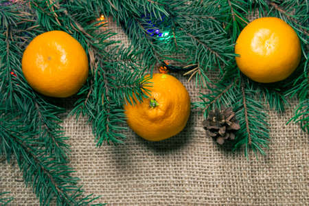 New Year composition on burlap. Christmas tree branches, pine cones and tangerinesの写真素材