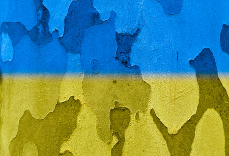 Ukrainian flag painted on a camouflage. Yellow blue wall texture background. Grunge yellow blue...