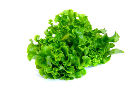 fresh green lettuce salad leaves isolated on a white backgroundの写真素材