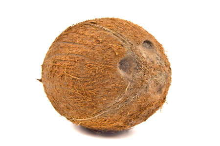 Whole fresh Coconut isolated on a white backgroundの写真素材