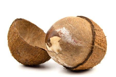 coconut shell split in half isolated on a white backgroundの写真素材
