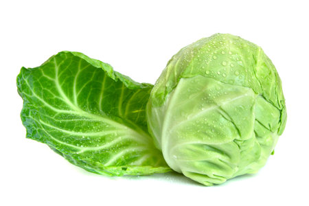 cabbage with drops of water isolated on a white background
