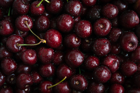 cherry background. Dark Cherry with drops. food background.