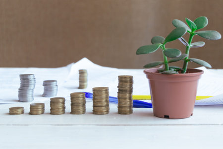The coins are stacked on the table with the house plant crassula, the concept of saving money and...