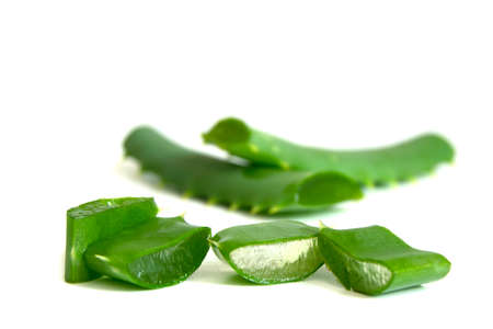 Aloe vera leaves isolated on a white backgroundの写真素材