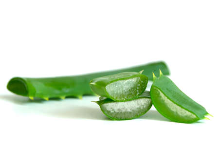 Aloe Vera isolated on a white backgroundの写真素材