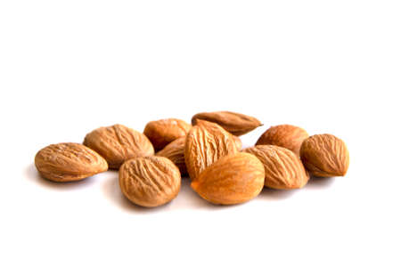An apricot kernels isolated on a white backgroundの写真素材