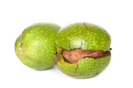 Walnuts with nut peel isolated on a white backgroundの写真素材