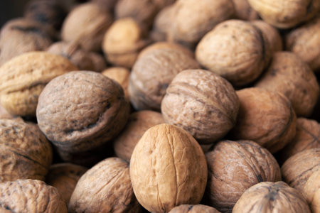 Pile of raw walnuts close-up as background.の写真素材