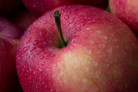 red wet organic apple with big droplet, macro shotの写真素材