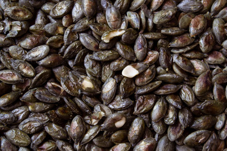 Cooked pumpkin seeds background, texture. Health food. Vegetarian and diet conceptの写真素材