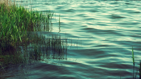 Water surface with ripples and sunlight reflections. beautiful lakescape as natural backgroundの写真素材