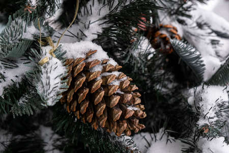A pine cedar cone hangs from a green Christmas tree all covered with snow. Close-up of the cone.の写真素材