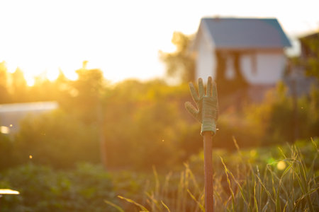 A cotton glove hangs on a stick in the private sector. The glove is drying on the dryerの写真素材