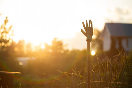 A cotton glove hangs on a stick in the private sector. The glove is drying on the dryerの写真素材