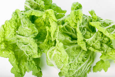 lettuce leaves on white backgroundの写真素材