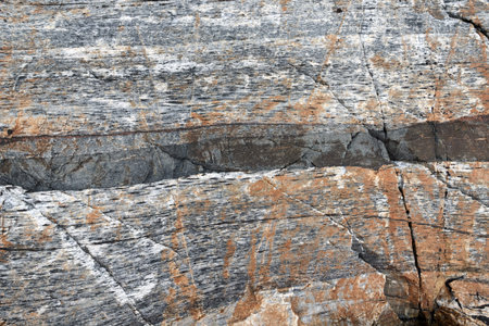 Structure of a connatural stone. It is photographed on Kola peninsula, Russia.