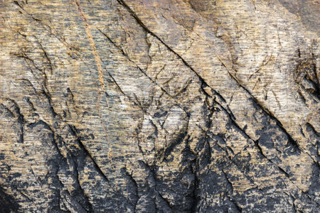 Structure of a connatural stone. It is photographed on Kola peninsula, Russia.