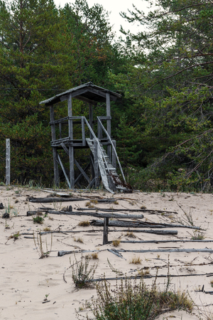 On a place of camp for prisoners on island Mudjug in a mouth of Northern Dvina, Russiaの写真素材