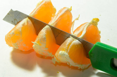 sliced orangesの写真素材