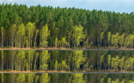 Summer landscape, river, old boat at the wooden pier, blue sky and green trees.の写真素材