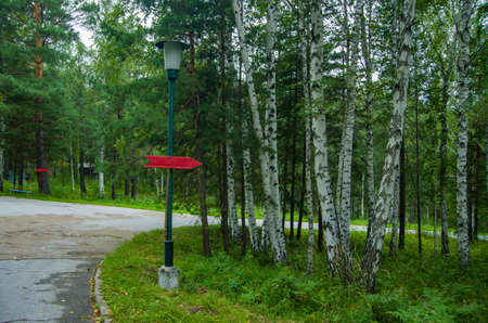 Red signpost in the park indicates the direction.の写真素材