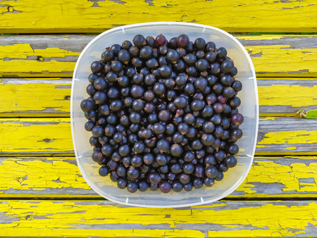 black currant in a plate on a yellow background.