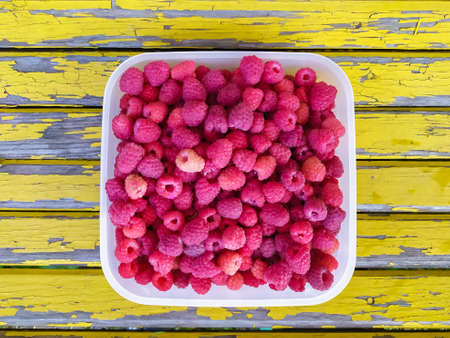 raspberries in a plate on a yellow background.の写真素材